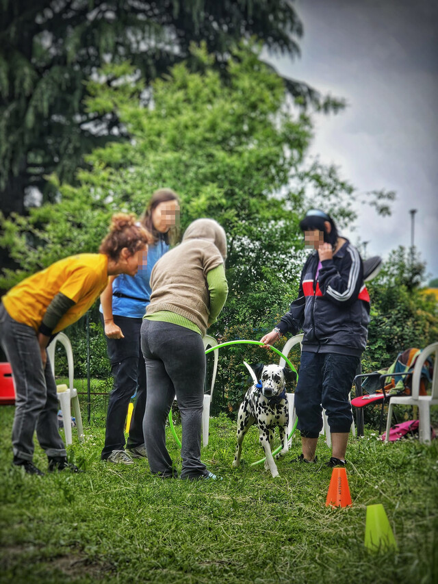 Attività Ricreative e Culturali. Pet Therapy