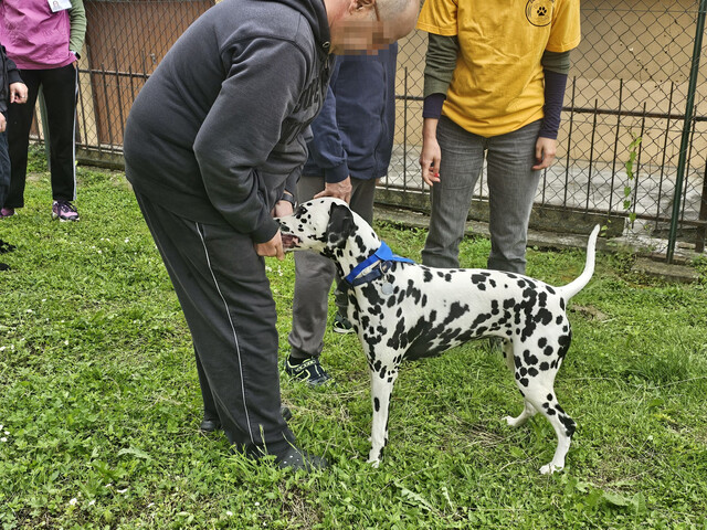 Attività Ricreative e Culturali. Pet Therapy