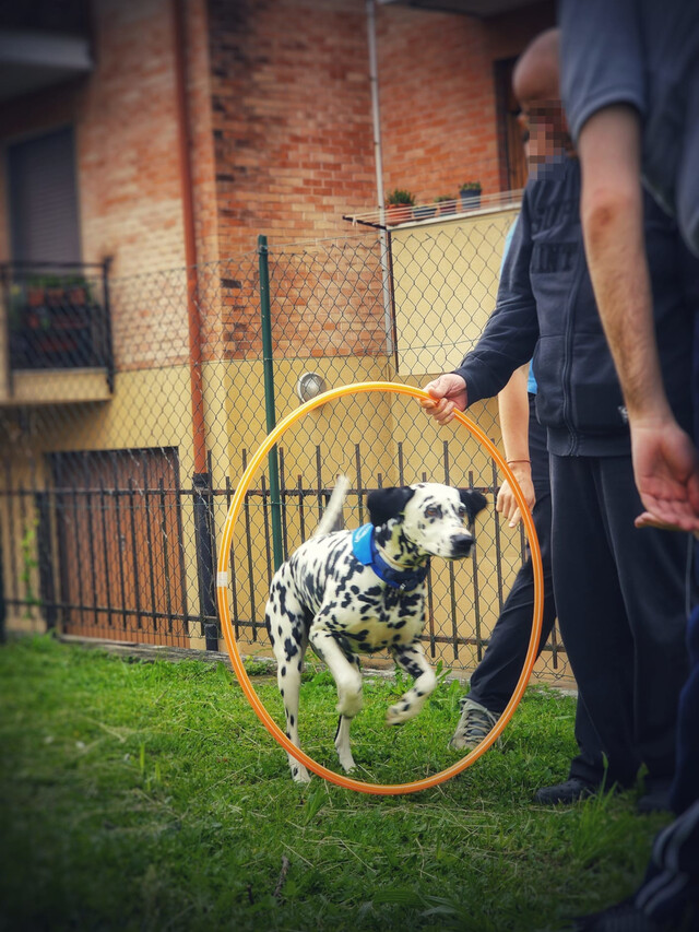 Attività Ricreative e Culturali. Pet Therapy